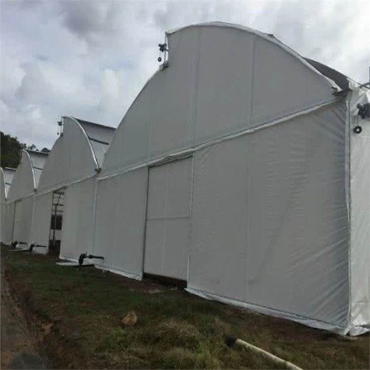Agriculture Multi Span Mushroom Greenhouse