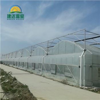 Теплица для овощного салата с гидропоникой