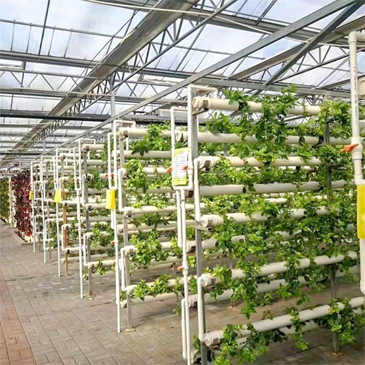 www.greenhouse-china.com