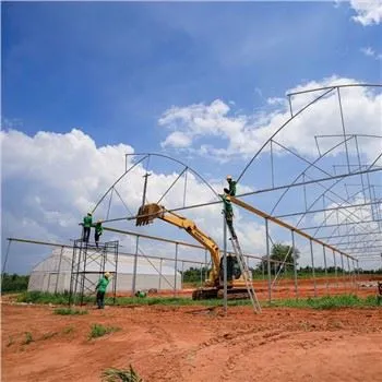 Промышленные теплицы из Китая