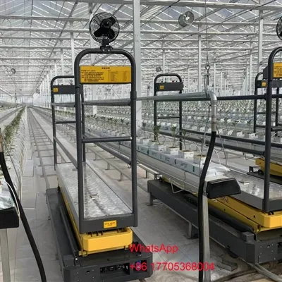 Общие тепличные модели