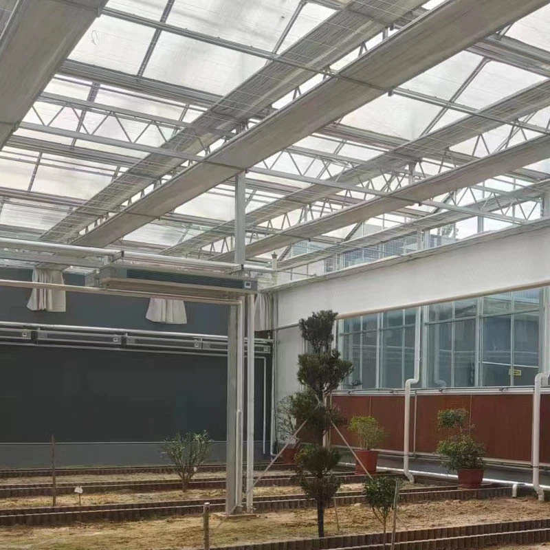 glass greenhouse 3 glass greenhouse 3